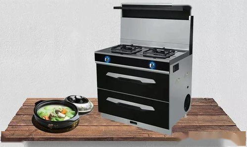 集成灶品類中 爆破性增長的新成員